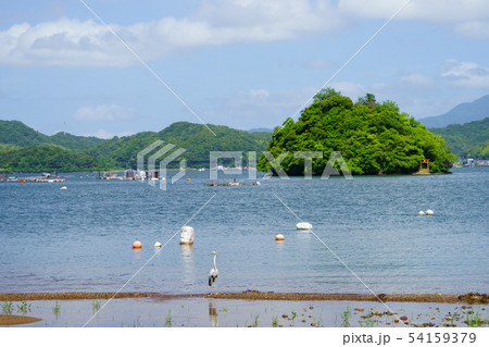 新緑の西舞鶴湾ー61 新緑の西舞鶴湾ー61 54159379