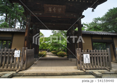 世田谷　豪徳寺　招き猫 54159440