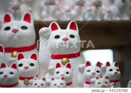 世田谷　豪徳寺　招き猫 54159760