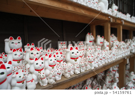 世田谷 豪徳寺 招き猫 世田谷 豪徳寺 招き猫 54159761