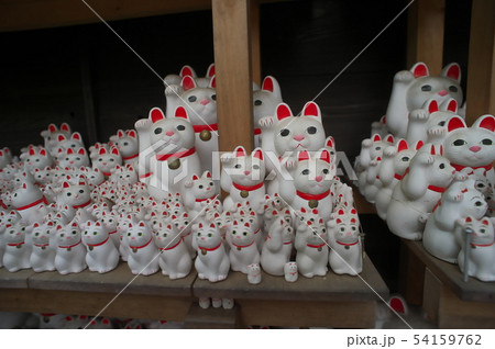 世田谷 豪徳寺 招き猫 世田谷 豪徳寺 招き猫 54159762