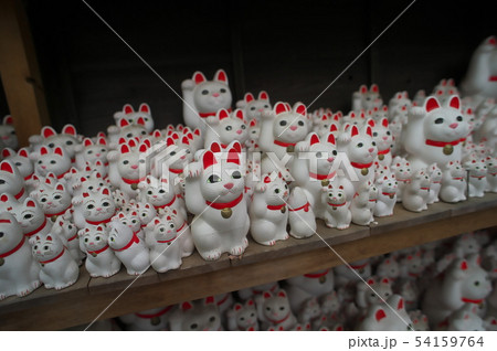 世田谷 豪徳寺 招き猫 世田谷 豪徳寺 招き猫 54159764