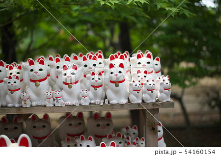 世田谷　豪徳寺　招き猫 54160154