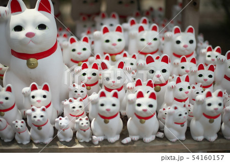 世田谷 豪徳寺 招き猫 世田谷 豪徳寺 招き猫 54160157