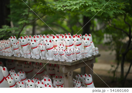 世田谷　豪徳寺　招き猫 54160160