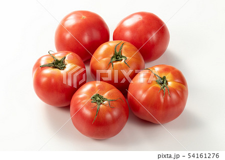 トマト 54161276