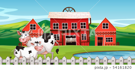 A cow on farmland A cow on farmland 54161820
