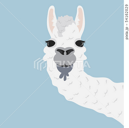 Happy Head Llama Vector Illustrationのイラスト素材