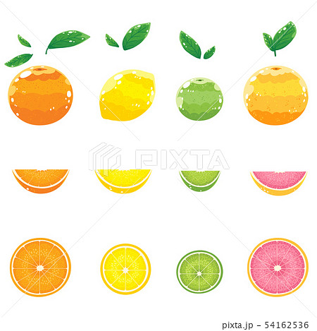 citrus fruit 54162536