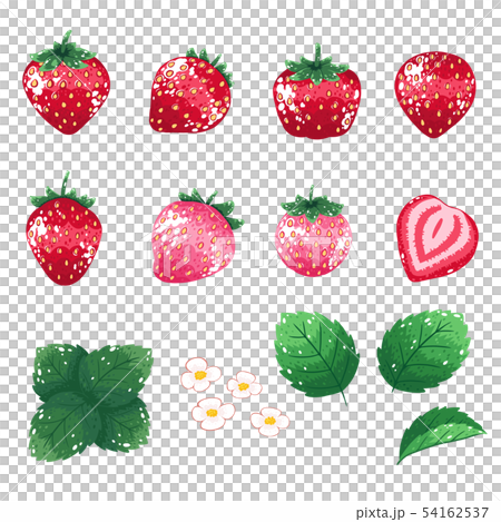 strawberry 54162537