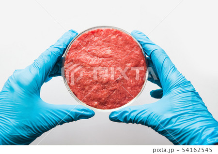 Laboratory studies of artificial meat. Close up. 54162545