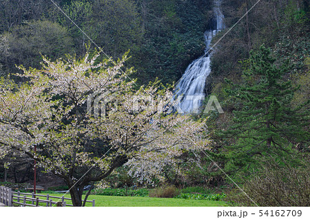 春の七滝　秋田県 54162709