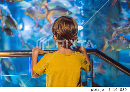 Little boy, kid watching the shoal of fish swimming in oceanarium, children enjoying underwater life 54164889