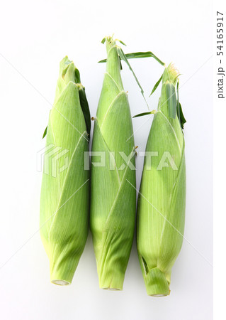 とうもろこし とうもろこし 54165917