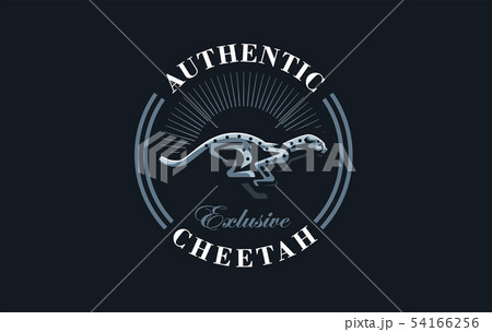 The image of a cheetah. 54166256