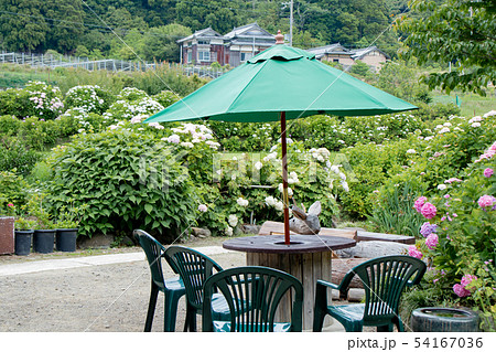 淡路島・花山水 淡路島・花山水 54167036