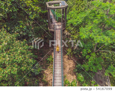 Young woman tourist at capilano suspension bridge kuala lumpur forest eco-park areial view Young woman tourist at capilano suspension bridge kuala lumpur forest eco-park areial view 54167099