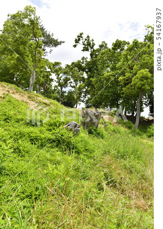 【大阪府　藤井寺市】世界遺産・古市古墳群（鉢塚古墳） 54167937