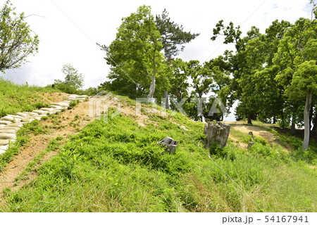 【大阪府 藤井寺市】世界遺産・古市古墳群(鉢塚古墳) 【大阪府 藤井寺市】世界遺産・古市古墳群(鉢塚古墳) 54167941