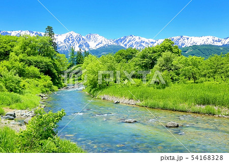 夏の大出公園・姫川と白馬三山 54168328