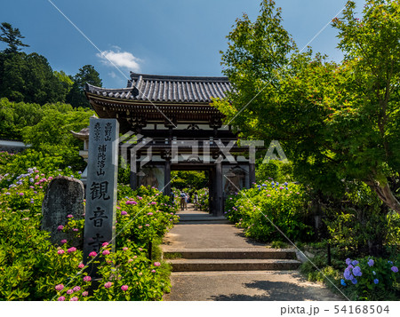 丹州観音寺　あじさい寺 54168504