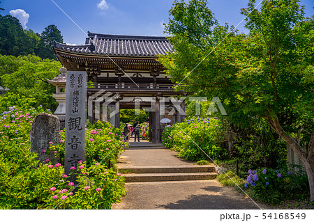 丹州観音寺　あじさい寺 54168549