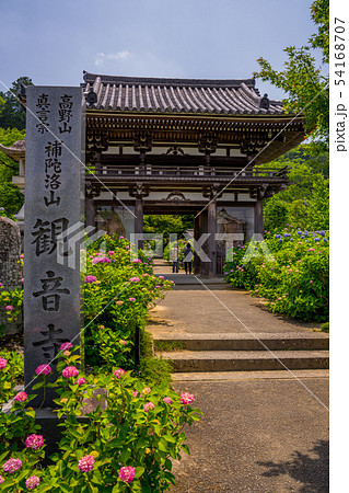 丹州観音寺　あじさい寺 54168707