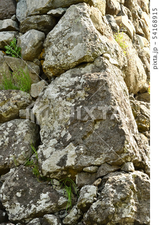 越前大野散歩:越前大野城・野面積みの石垣 越前大野散歩:越前大野城・野面積みの石垣 54168915