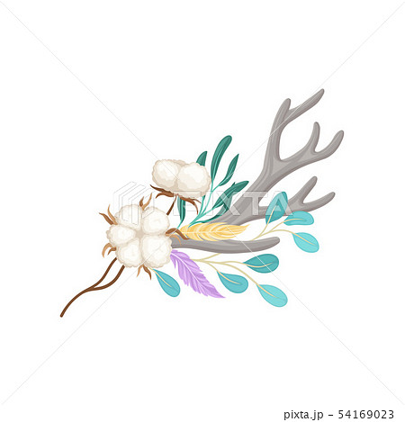 Ripened cotton and antler. Vector illustration on white background. 54169023