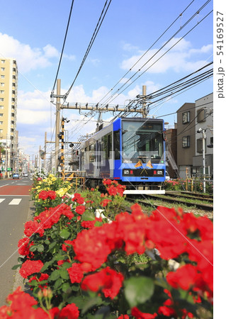 都電荒川線 荒川車庫前付近にて 都電荒川線 荒川車庫前付近にて 54169527