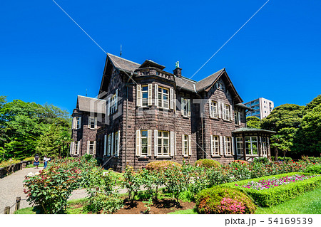 東京　初夏の旧古河庭園 54169539