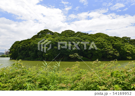 【大阪府　藤井寺市】世界遺産・古市古墳群（仲哀天皇陵古墳） 54169952