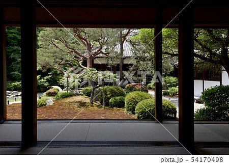 青蓮院　華頂殿から見た庭園 54170498