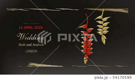 Tropical gold red plants on black background 54170599