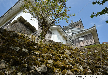 越前大野散歩：越前大野城 54170629