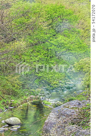 流れる川 背景素材のイラスト素材