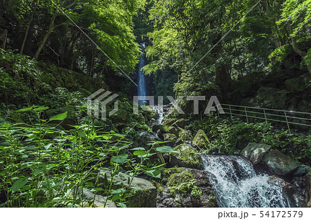 養老の滝 初夏景 養老の滝 初夏景 54172579