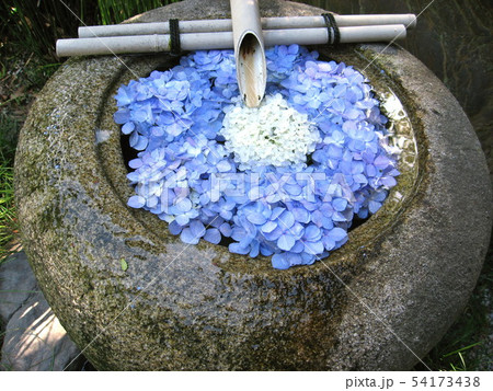 手水鉢 手水鉢 54173438