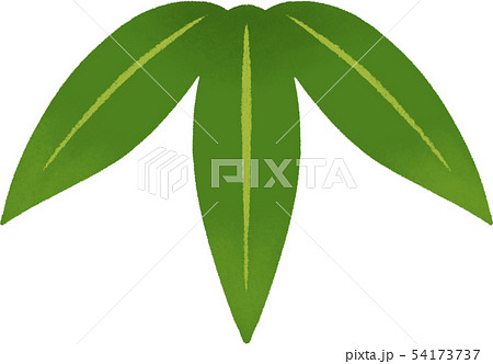 竹の葉のイラストのイラスト素材