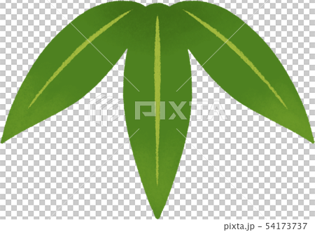 竹の葉のイラストのイラスト素材 [54173737] - PIXTA