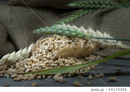 Wheat seeds spilling from wooden scoop on jute Wheat seeds spilling from wooden scoop on jute 54174383