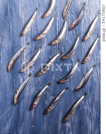 Fish pattern. Fresh anchovies on blue Fish pattern. Fresh anchovies on blue 54175807