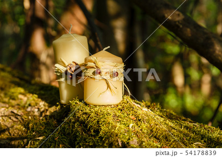 two wax candles on an old log in the forest 54178839