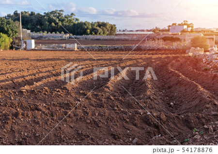Closeup view of plowed agricultural field prepared 54178876