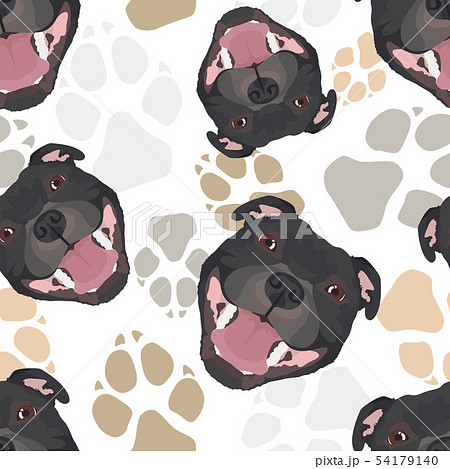 Dog paws pattern Staffordshire Bull Terrier 54179140