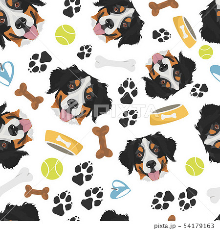 Smiling Dog Bernese Mountain Dog 54179163