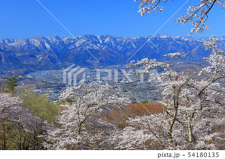 【埼玉県】美の山公園の桜 54180135