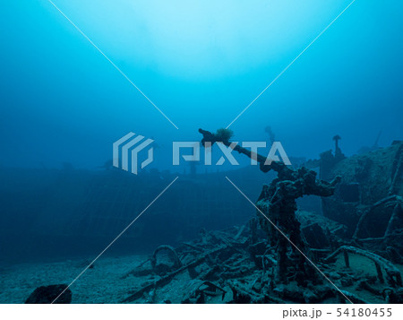 沈船ダイビング 54180455