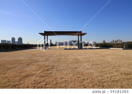 豊洲市場水産卸売棟屋上の風景 豊洲市場水産卸売棟屋上の風景 54181263