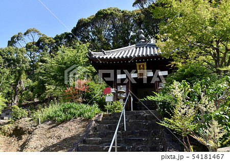 萬福寺塔頭　萬松院天光塔 54181467